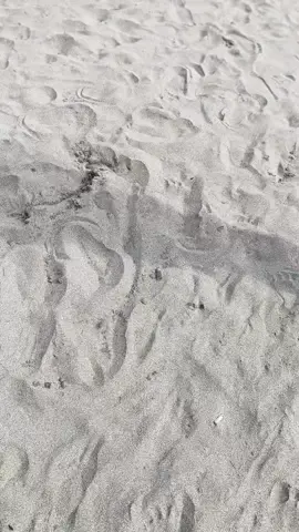 Kapan nih pesisir barat lg🥰