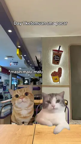 ngaku kalian yg pernah 🫵🏻#memekucing #day1 #ketemu #saltingbrutal #chat 