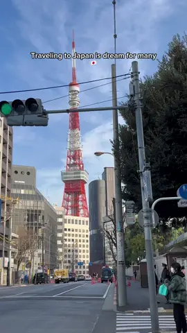 Last chance to fly to Japan before the travel taxes increase!✈️🇯🇵 #japan #japantips #traveltips #travelnews