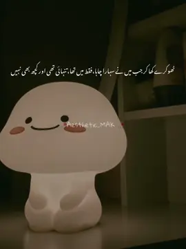 Phr bury waqt me kon sat  deta hai🥺 . . . . . . . . . #wais_writes #fyp #fypシ゚ #fyppppppppppppppppppppppp #fyppppppppppppppppppppppp 