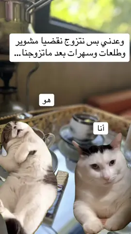 #Meme #MemeCut #اكسبلورexplore #الشعب_الصيني_ماله_حل #اكسبلورexplore 