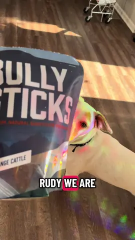Rudy loves all the things from @Wild Wolf Bully Sticks the cow ears don’t last long for him but he LOVES them! And who can say no to this face? #dogsoftiktok 