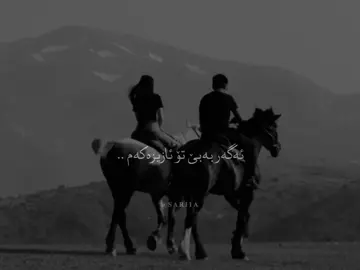 ئەوسەوتە بۆوا تەیبەتە ! #sari1a #foryou 