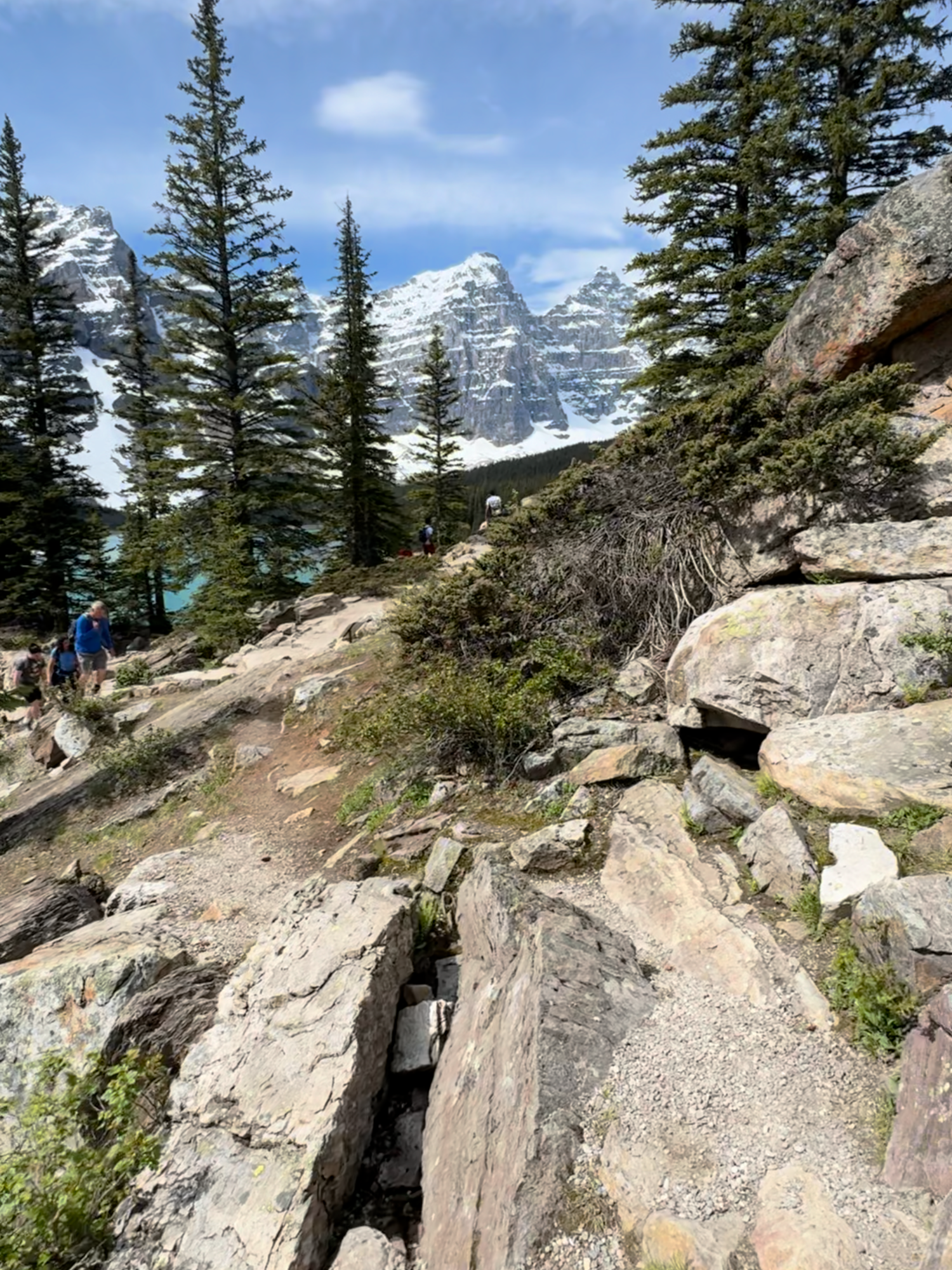 ✨ Just a short hike up the Rockpile at Moraine Lake and you’re rewarded with some of the most iconic views in the Canadian Rockies 🏔️💙 This quick trail leads to that famous overlook where the turquoise waters, towering peaks, and Valley of the Ten Peaks come together in one unforgettable scene. 🌲📸 Truly one of the best viewpoints in Banff National Park—and it’s right here waiting for you! 👉 Have you made the climb up the Rockpile yet? #MoraineLake #RockpileTrail #BanffNationalPark #CanadianRockies #LakeViews #BanffViews #BucketListCanada