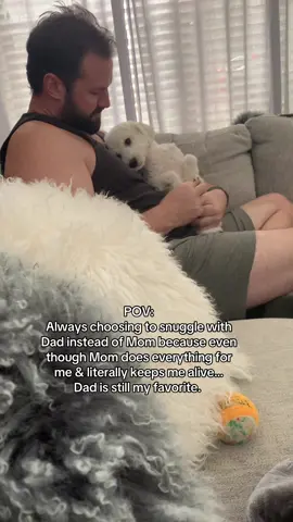 #daddysgirl #dogdad #wedontdeservedogs #doglove #fyp 