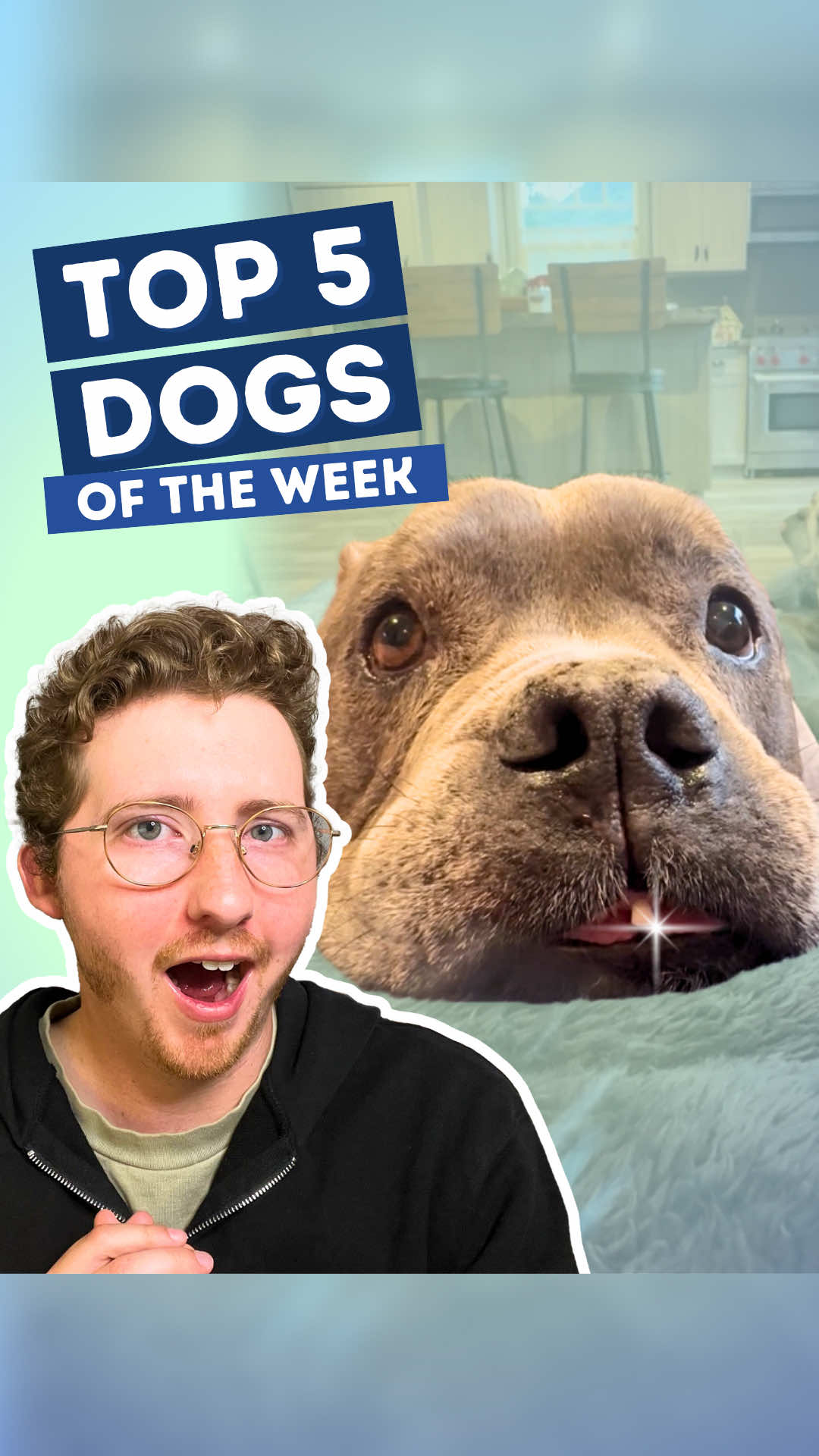 Top 5 Dogs of the Week! 5. @Moomin  4. @Parker The Golden Boy 🐾  3. @thechonkettes1  2. @Canine Rescue of Central PA  H.M. @The Rottie Beast  H.M. @Harvey🔵  1. @El Cajamarquino  #weratedogs