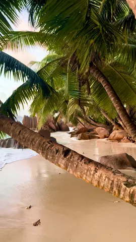 unforgettable sunset 🥹🏝️🌅 #seychelles #sunsetlover #beachvibes #tropical #magical 