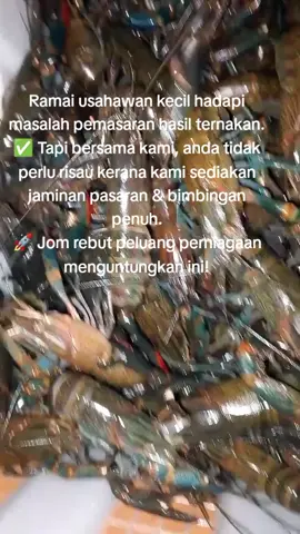 #fyppppppppppppppppppppppp 