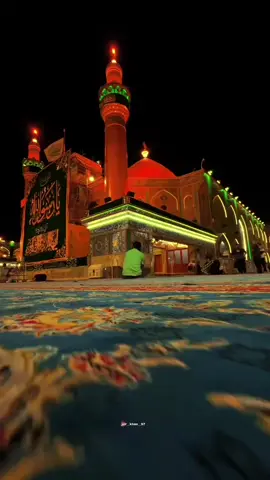 janum Ali Ali❤️😭 #janumaliali #yaali #molaali #shiastatus #nohastatus 