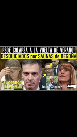 😱Incidente en congreso por  Saunas suegro de Sánchez #noticias #parati #videoviral #españa🇪🇸 , 