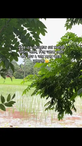 নুপুর এর আওয়াজ তো সবারই ভালো লাগে, কিন্তু ভাবো সেটা যদি রাত ২ তার সময় বাজে তাহলে?😐 #f#foryoupagef#fypv#viralf#foryout#trending   @TikTok 