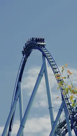 50 ans d’Europa-Park, une fin d’été mémorable !