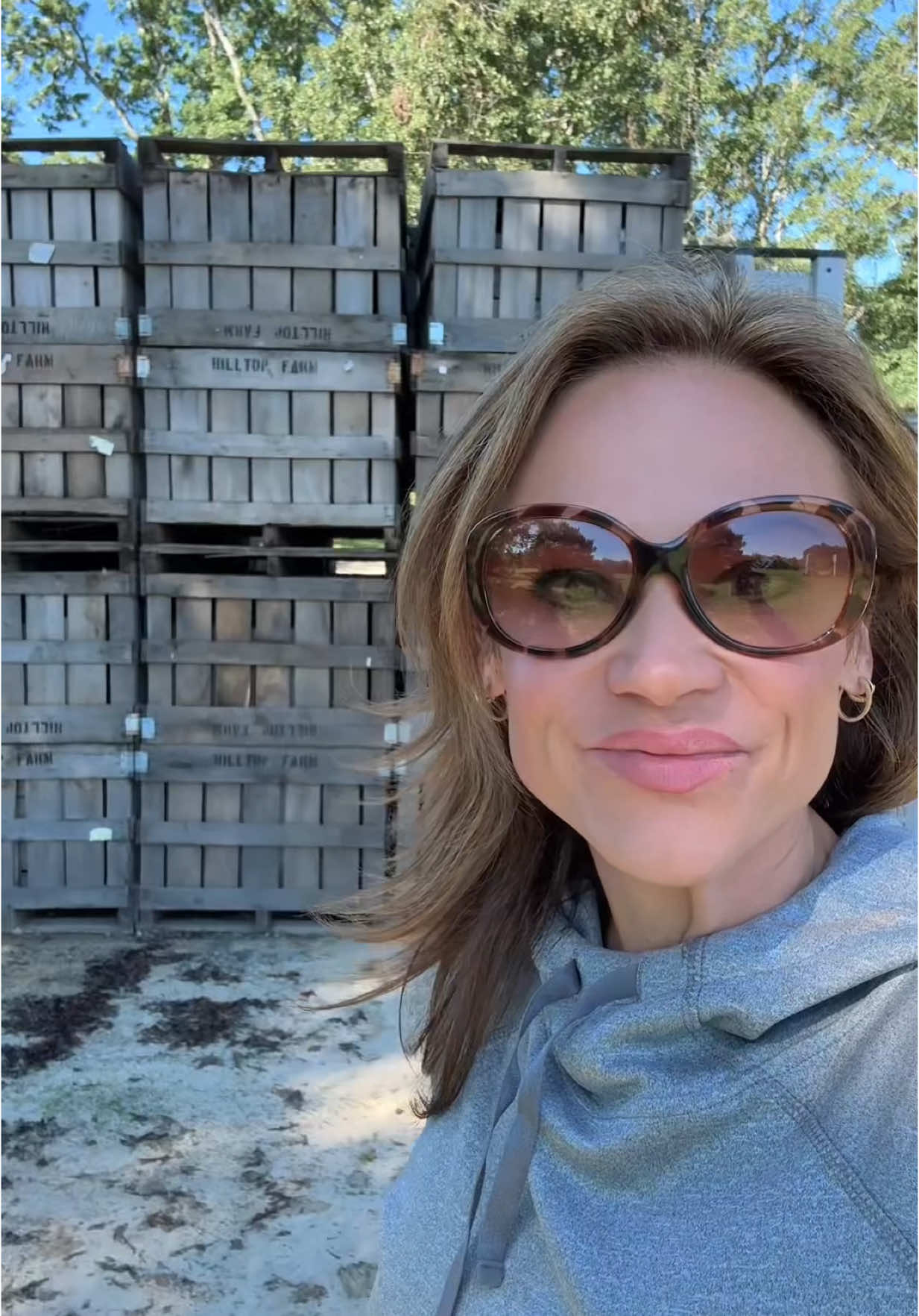 #CapCut Big things happening today! Apple harvest update, plan is to start big picking tomorrow🍏🍏 #westernnorthcarolina #womeninag #farmers #pickingapples #ozark #harvestseason