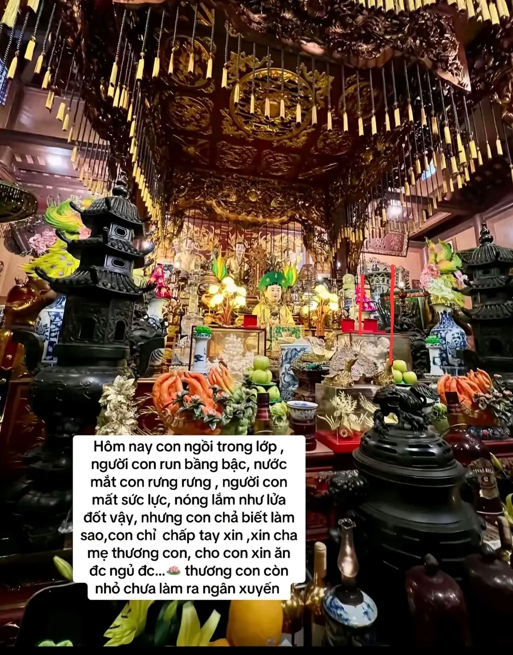 em buồn em tủi ai thấy ,em nhớ ngà , nhớ vua nhớ mẫu, si biết cảnh này ❤#tinhnguongthomau #tuphu #contuphu #xhhh #fg 