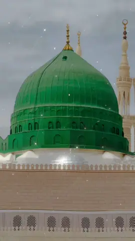 يا هلا بمولد محمد ياهلا  .  .  #المداح #ميسر #الحيالي  #صلوا_على_رسول_الله  #الصلاة_والسلام_عليك_ياحبيبي_يارسول_الله 