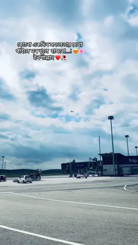 কোনো একদিন সফলতার দেখা পাইলে মন খুলে হাসবো 🌸✈️ইনশাল্লাহ 🤲😍#foryoupage #tiktok #biraltiktok #foryou 