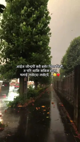 आईज जीन्दगी कतै बसेर चिया पिऔं #ichiro #japan🇯🇵 #sayarilover 