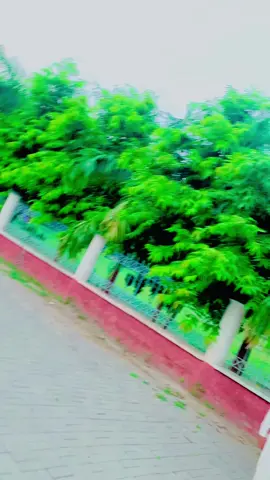 Zain ali#foryou #growmyaccount✅♥️♥️♥️ #growmyaccount✅ #viral #onemillionaudition 