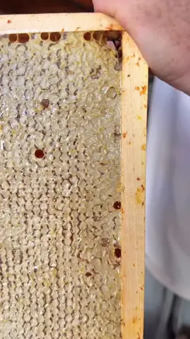 Zortrax Honey Group.  www.zortraxhoney.com
