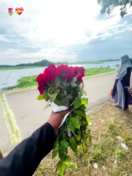 S..🌷💝#foryoupage #vairal_video #unfrezzmyaccount #DOSOR PARA BAIRAL ROD#vairalmyvideo @tik tok 