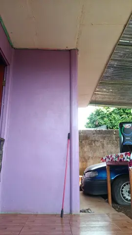 #parati 