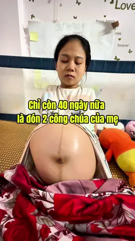 Chỉ còn 40 ngày nữa là được đón 2 em #bausongthai #xuhuong 