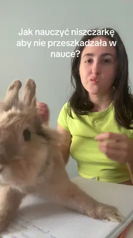 #bunny #rabbit #dlaciebie 