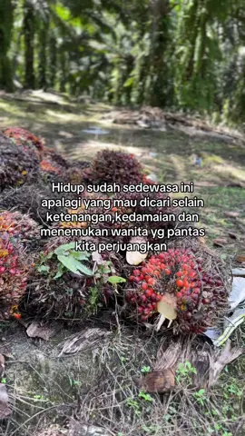 Tpi jgn lupakan sholat 🧎 