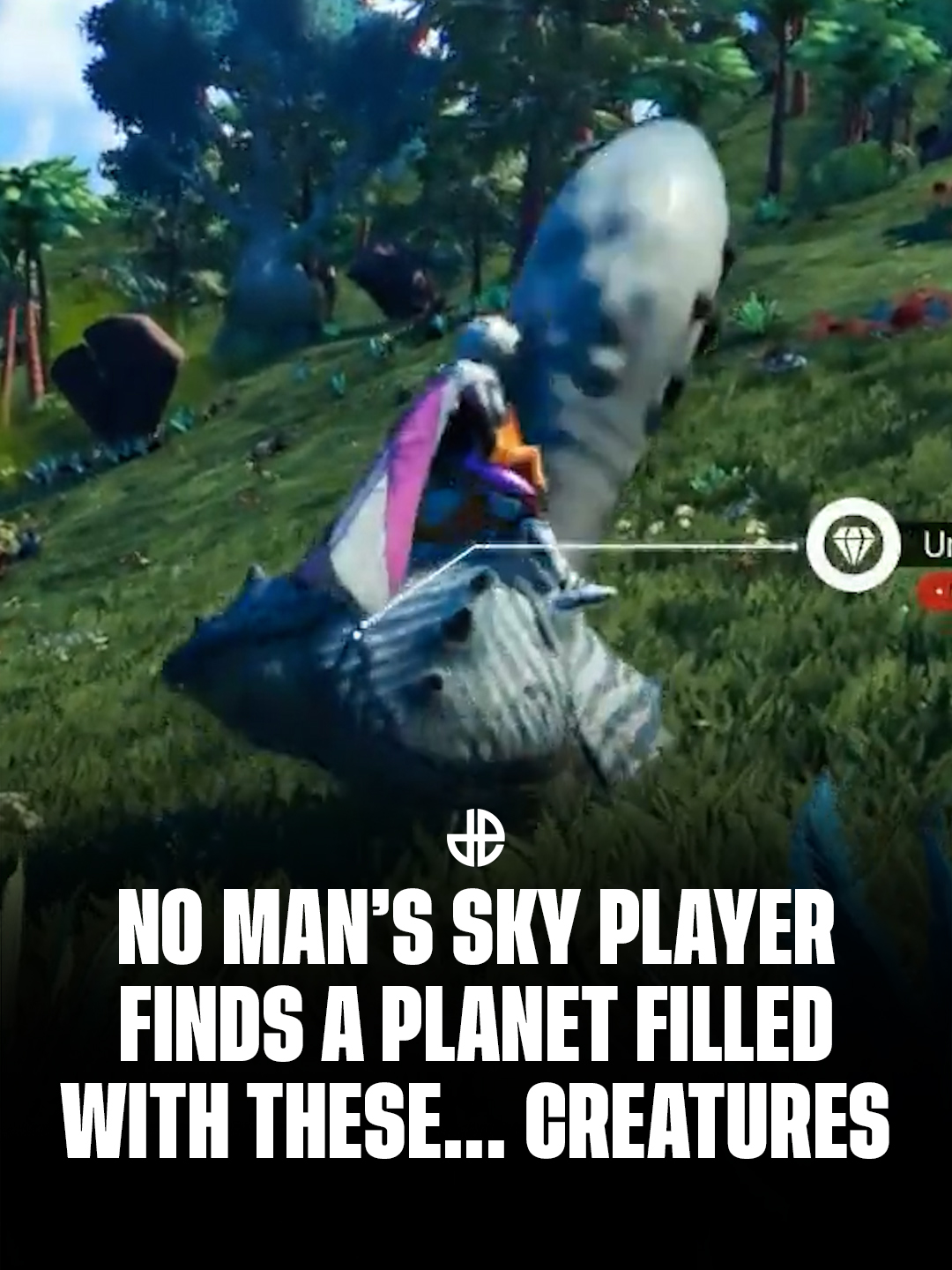 No Man's Sky player discovers a planet with very strange creatures on it 🎥: u/UnderstandingDull174 #gaming #NMS #nomanssky