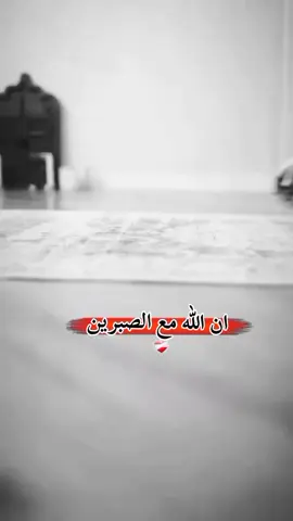 #tik_tok #💚🇩🇿💜✍️👌 #quenn👑sarah #متابعة_قلب_تعليق_مشاركة #ستوريات_متنوعه 