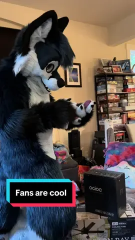 Our fans absolutely blow me away, they're so cool #FursuitFriday 
