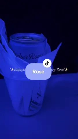 May not have been in first class but def got the top tier service #roseallday #inflight #travelvlogger #rosésolo 