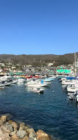 a guide to the perfect day in Catalina Island 🌴🌊🐚 just 1 hour ferry from LA ✨ #catalinaisland #catalina #california #losangeles #islandlife #thingstodoincalifornia 