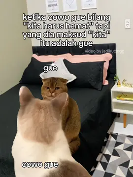 kalo lewat fyp lu ini kiriman dari hati cowo lu☝️ #memekucing #memecat #catmeme #povindonesia #memeindonesia #viraltiktok #masukberanda #fyppppppppppppppppppppppp #4u #foryou #xybca 