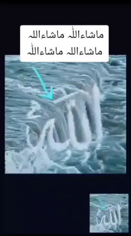 #💖💖💖💖💖💖💖💖💖💖