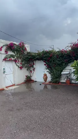 حوشنا بعد المطر