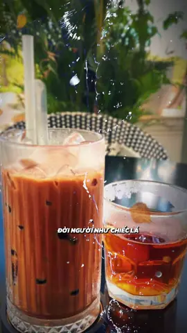 #thanhhoa36 #typシ 