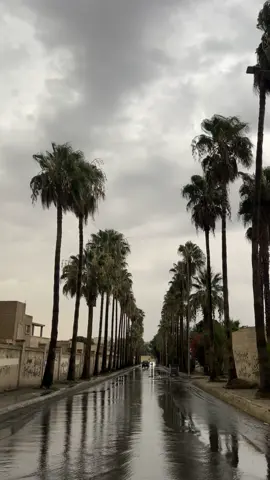 #اكسبلورexplore #الطايف #مطر #explore #taif 