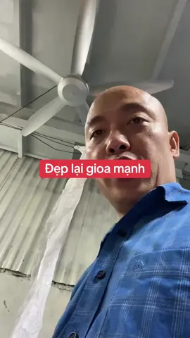 Quạt trần cho nhà cao 4m