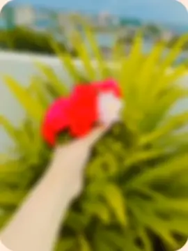 #CapCut #fypシ゚viral vedio#for you page#unfreez my account👃👃👃👃👃👃👃#tiktok,bangladesh 