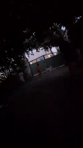 #creator 