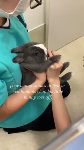 he just needs his dam little bunny nails trimmed. #spirituality 