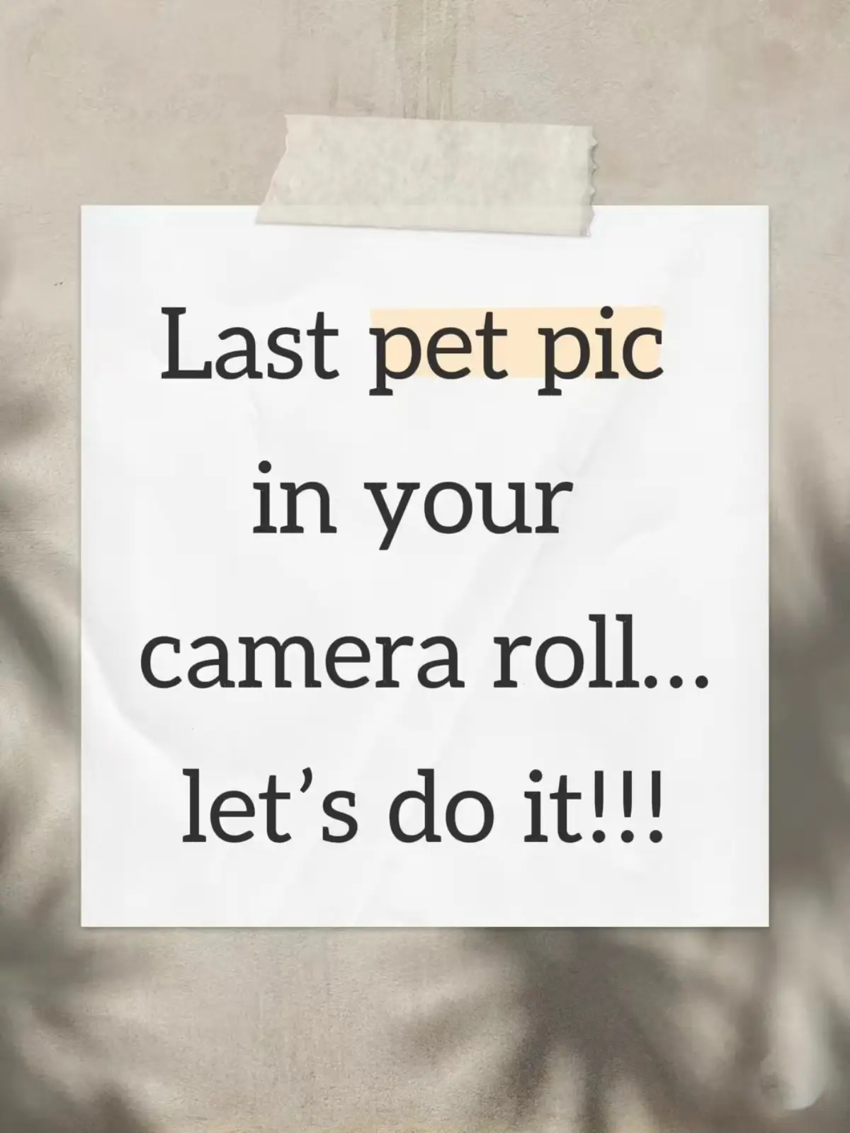 #PetsOfTikTok #petchallenge #adorable #cameraman #pets