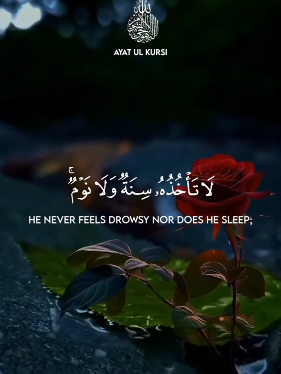 #quran #islam #muslim #قران_كريم #قران 