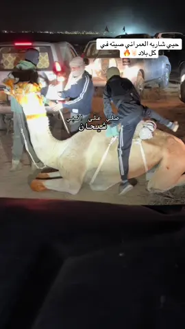 اذكرالله ماشاءالله