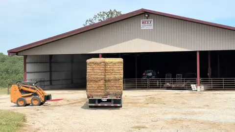 Trying some big(ger) squares of alfalfa this year 💪🏻 #justranchin #southernmo #cowchow #drover