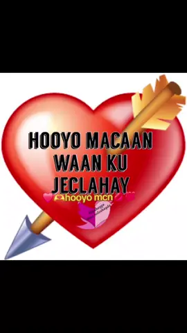 #HOOYO MCN  allaha xifdiyo💋💋💯💯#HOOYO #CapCut #pppppppppppppp 