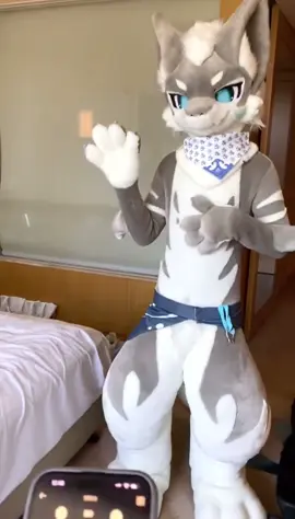 NotADog_01 on X #furry #fyp #cute 