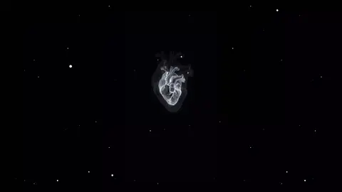 ريمكس . الله الله ... هيا هيا. #النــــkingـــجم4k #☠️💯☠️  #مالي_خلق_احط_هشتاق  . . . . . . . . . . . . . . . . . . . . . . . . . . . . ... . . . . . ... ... . . . . .   . . . . . . . . . . . . . . . . @نـــــــٌوُر آلشـآمـ 💞💞 