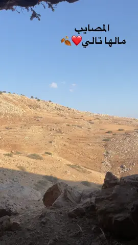 #عجلون #الاردن🇯🇴 #السلط #جرش #بلاد_الشاَم_العراق🇮🇶 